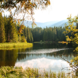 Vrbické pleso