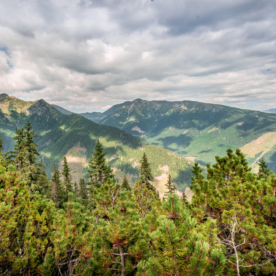 Západné Tatry